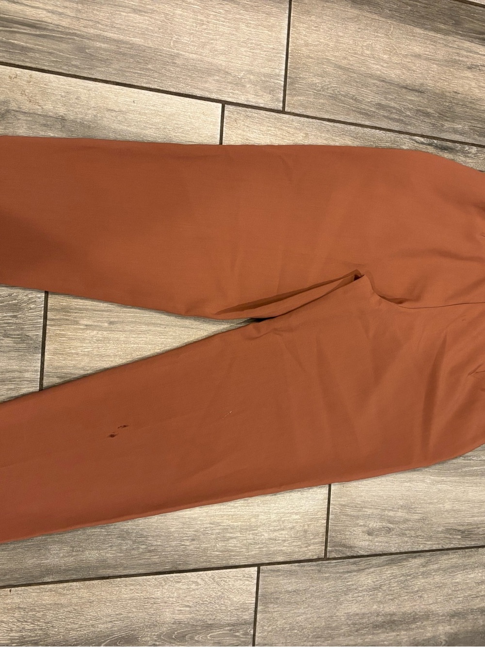 Women’s pumpkin Dress Pants - Classic Tailored Fit - Picture 4 of 5